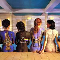 Pink Floyd always did have cool album covers